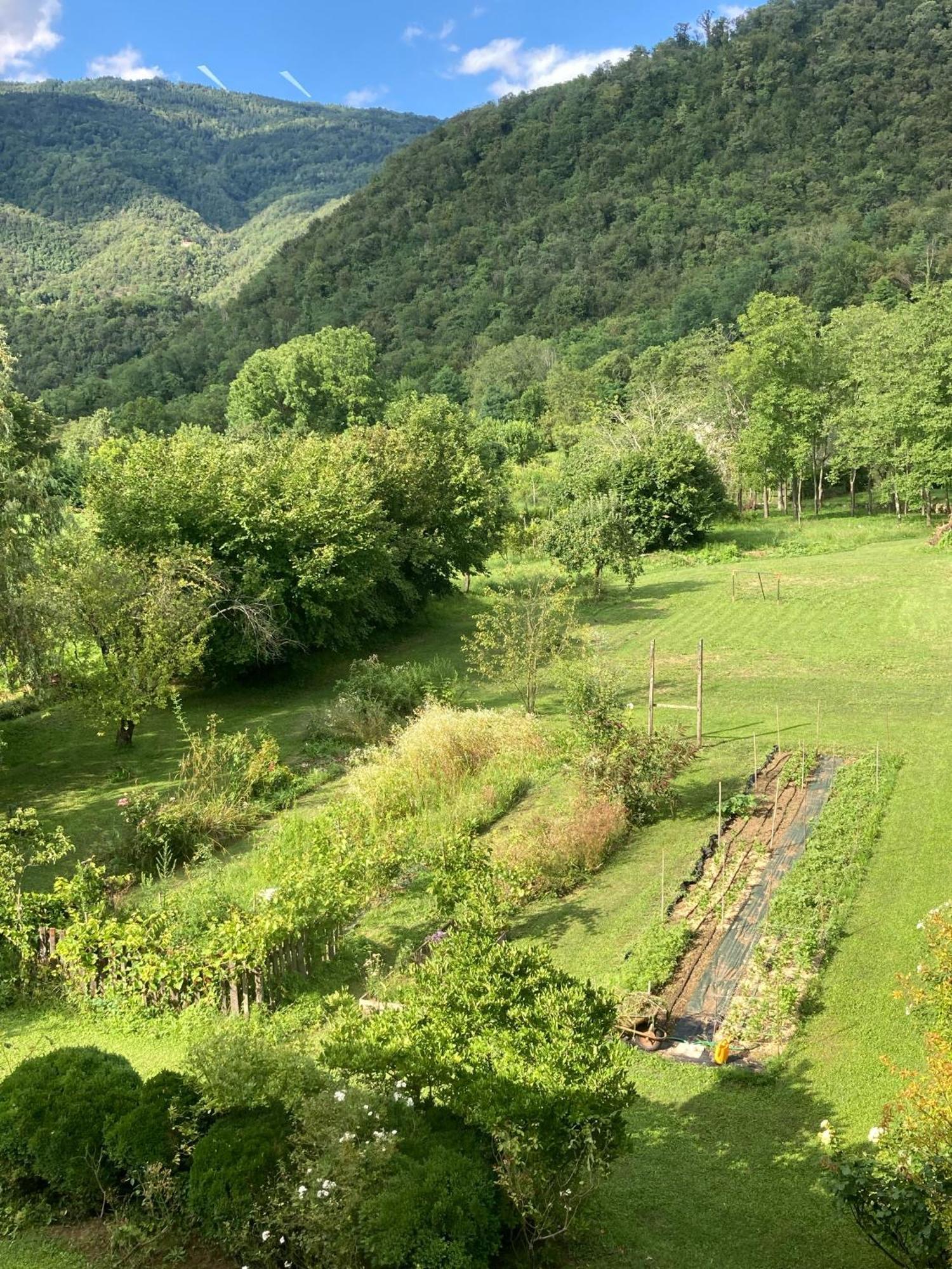 Casa Del Grivo - Alloggio Sole Faedis Dış mekan fotoğraf