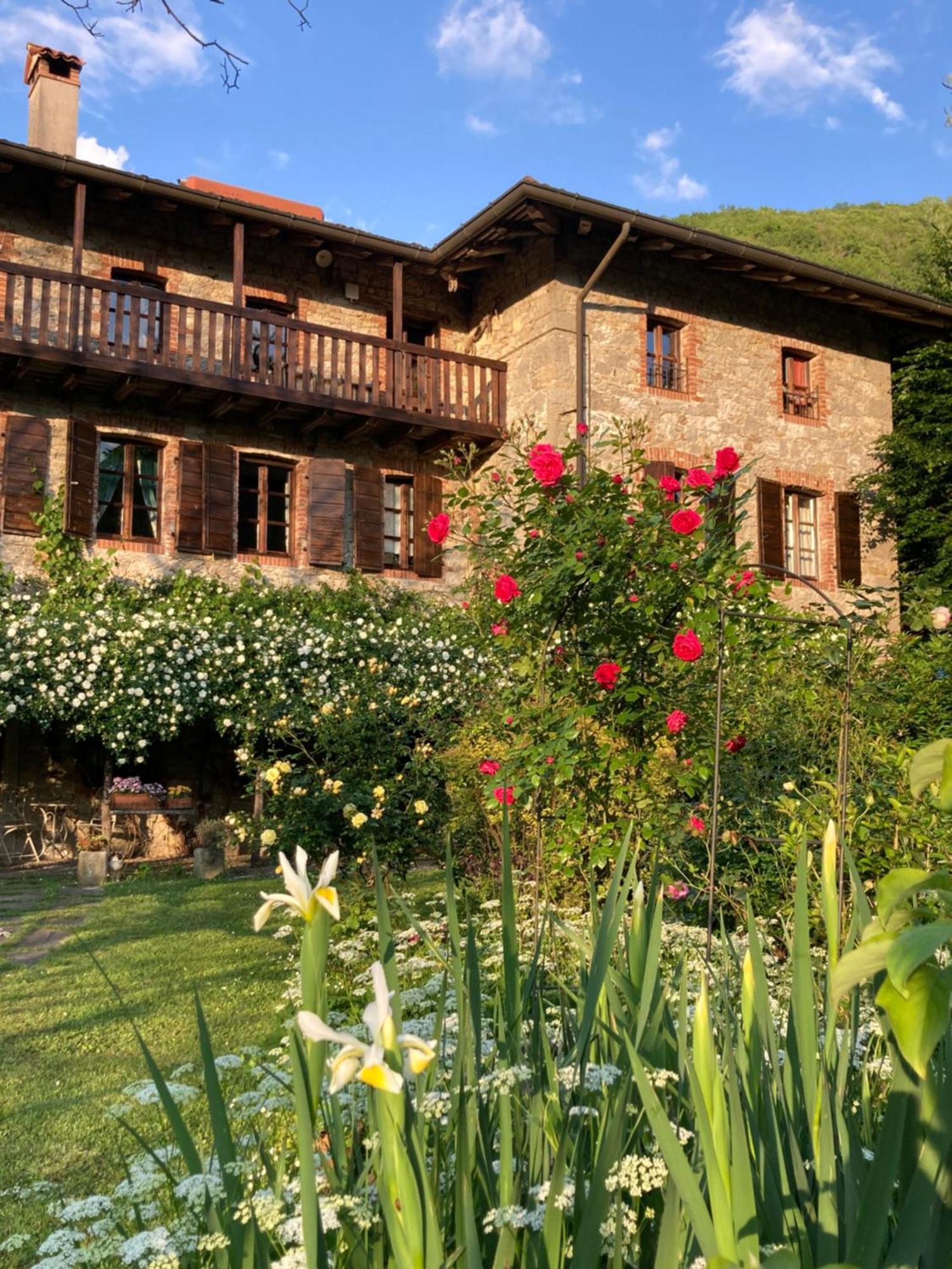Casa Del Grivo - Alloggio Sole Faedis Dış mekan fotoğraf